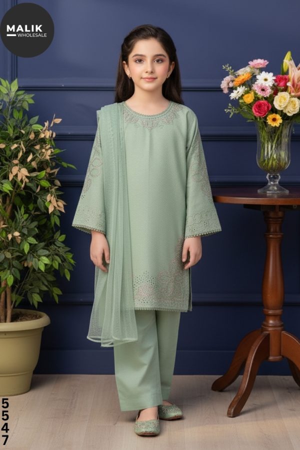 5547 Girls 3Pcs Embroidered & Stitched Dhanak Midi Shirt
