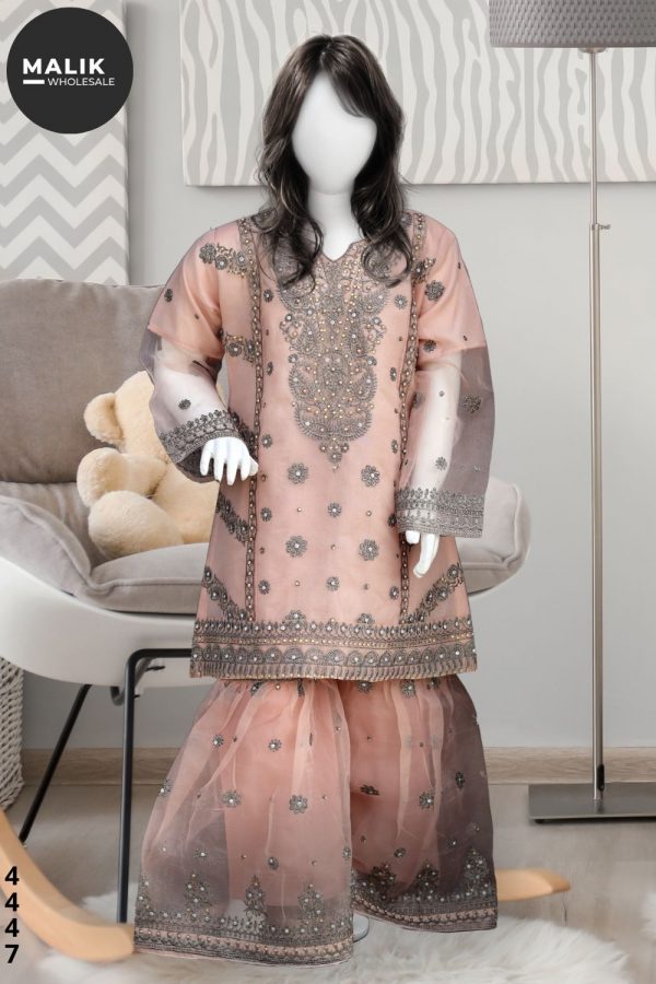 4447- Girls 3Pcs Embroidered Organza Sharara Set