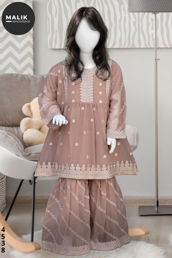 4538- Girls 3Pcs Embroidered Chiffon Sharara Set