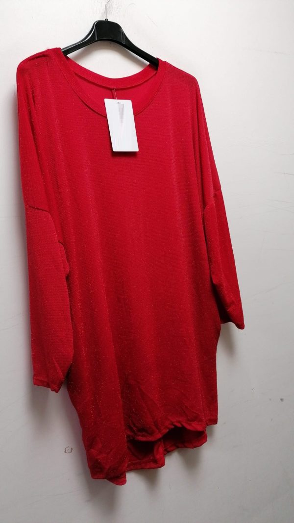 Plain Long Sleeve Dipped Hem Top